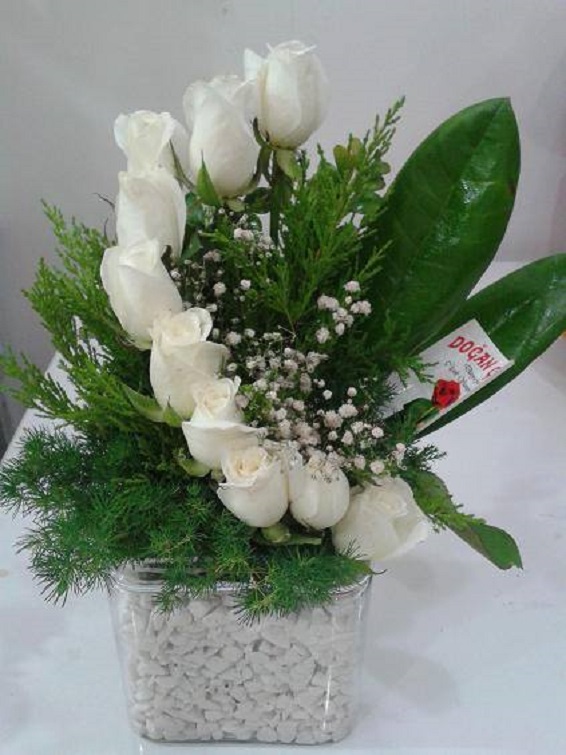 Beyaz Sıralı Güller