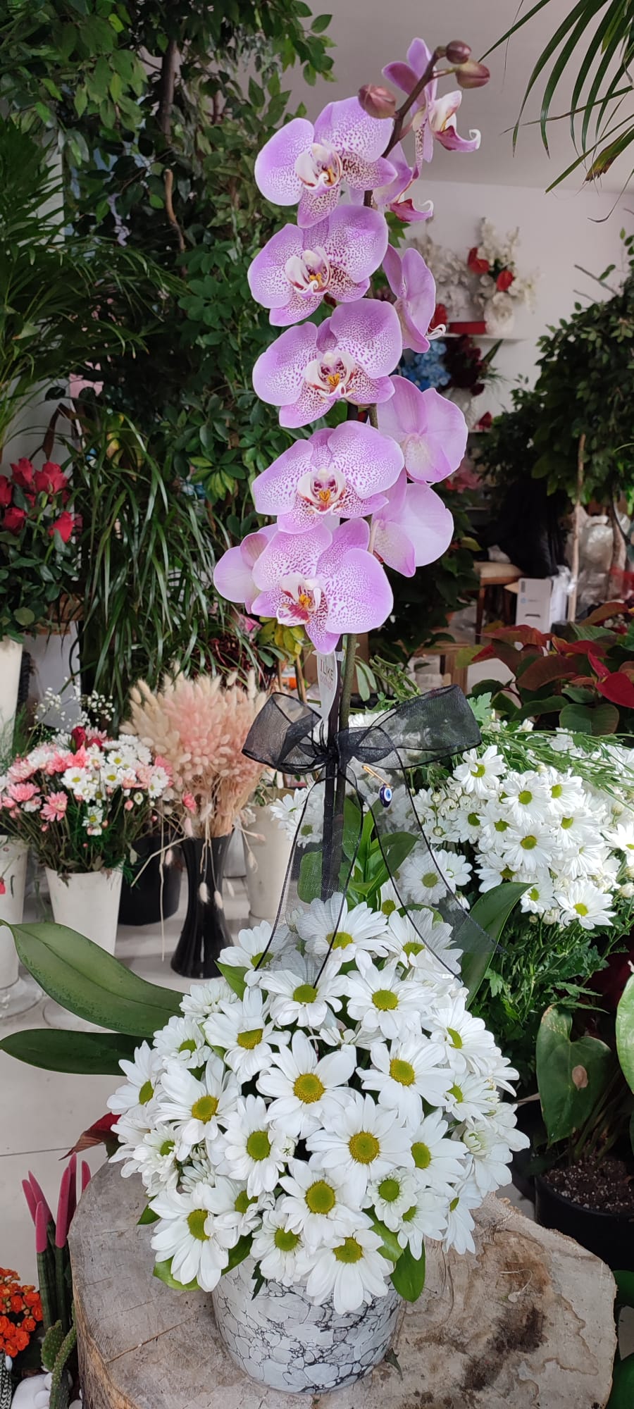 Orkideli Papatya Arajmanı