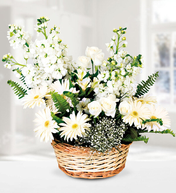 Beyaz Sepet Çiçek