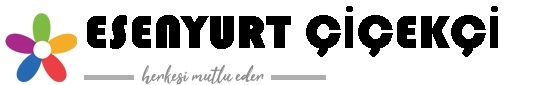 Esenyurt ieki