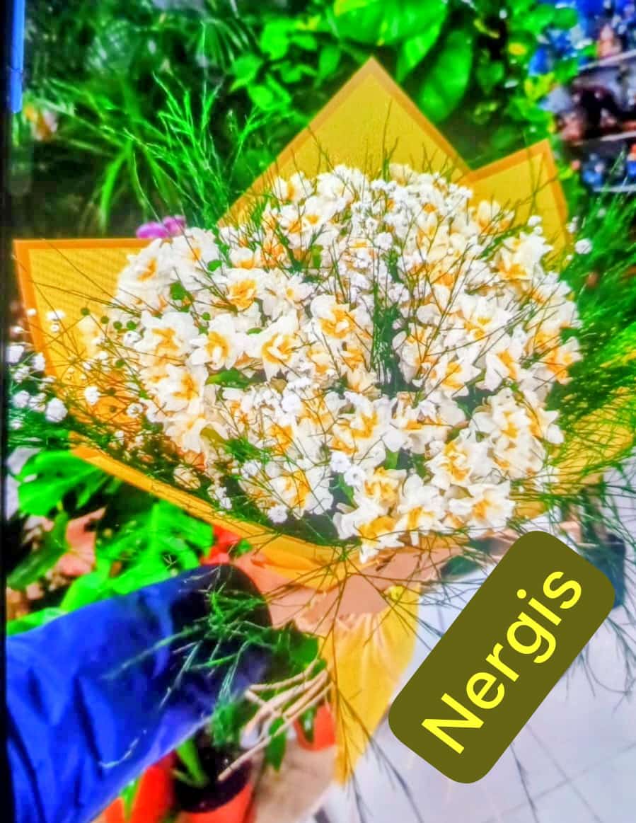 Nergis